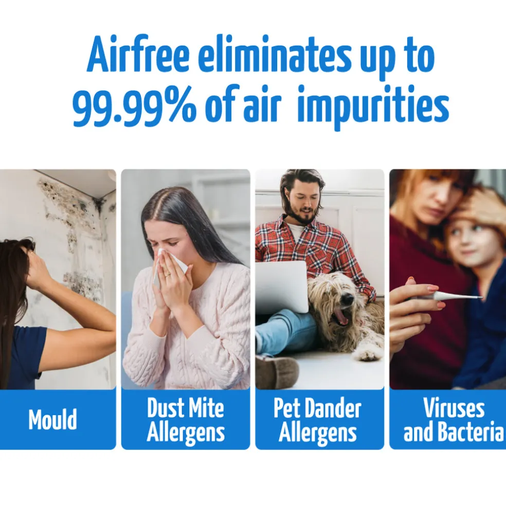 Airfree P40 Air Purifier
