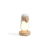 Bubble Toucan Night Light