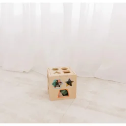 Bubble Wooden Shape Sorting Cube