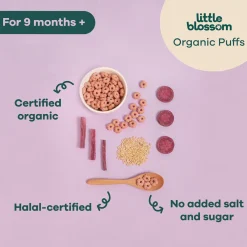 Little Blossom Organic Brown Rice Puffs | Sweet Potato