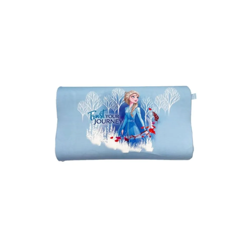 Little Zebra Frozen Big Pillow Case
