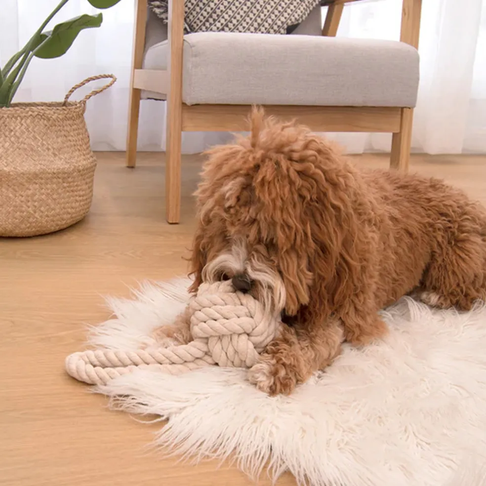 Louie Living Pet Toy - Tug Rope (Small)