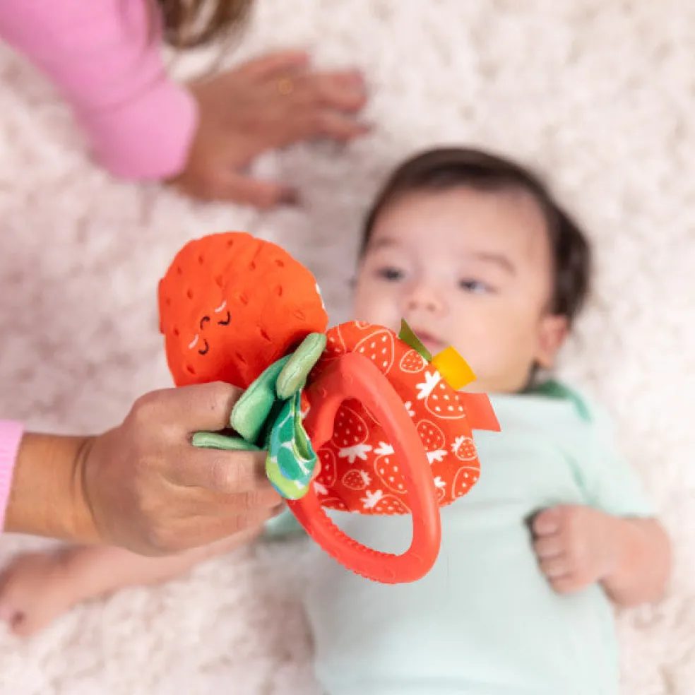Melissa & Doug Strawberry Take Along Toy