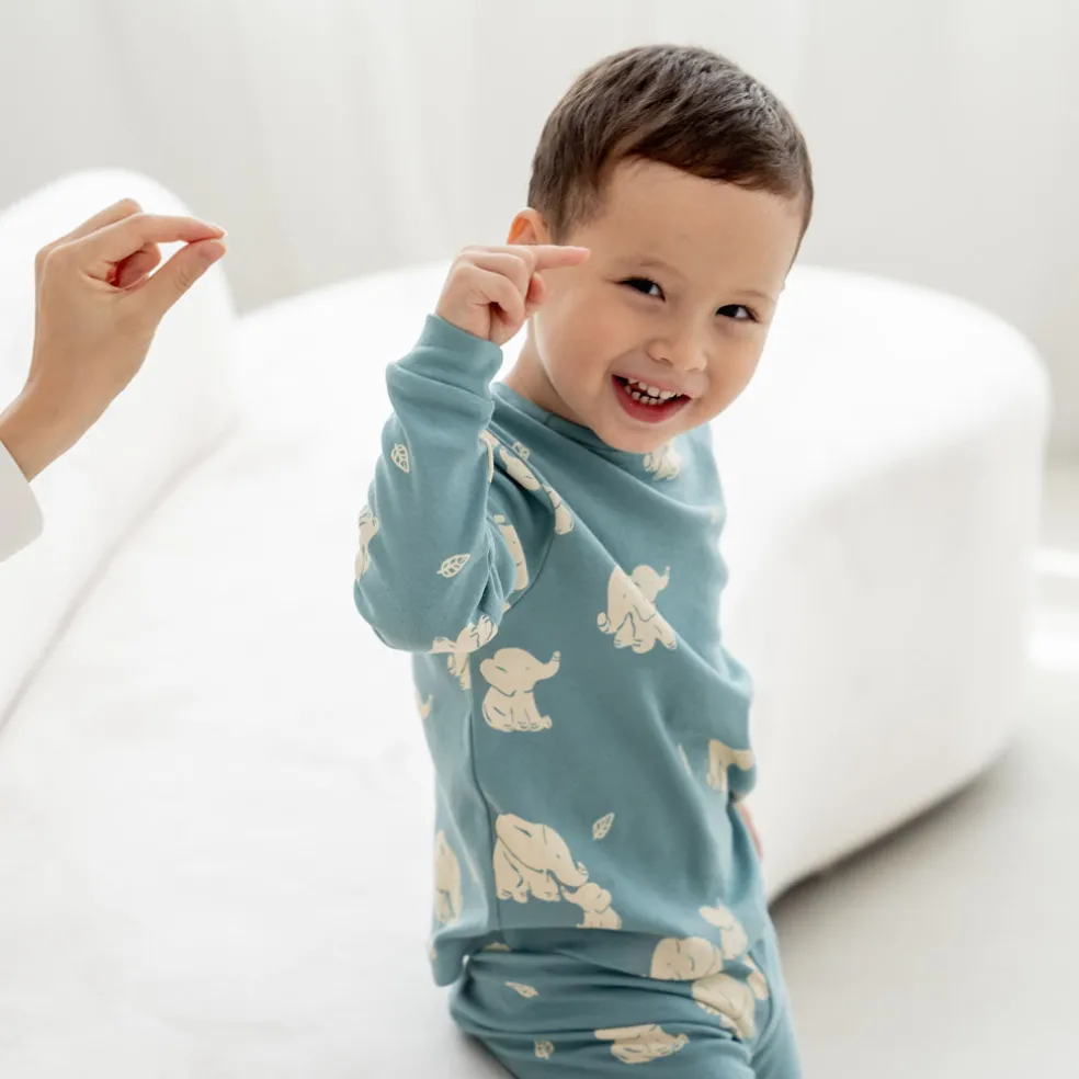 Motherswork x Le Petit Society Baby Organic Zip Sleepsuit in Elephant Print