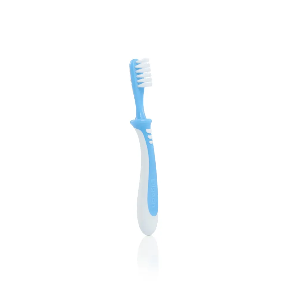 Pigeon Training Toothbrush, Lesson 3 Blue