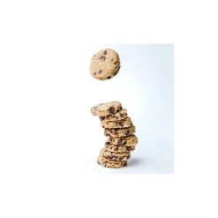 Singapore Lactation Bakes Chocolate Chip Lactation Cookies