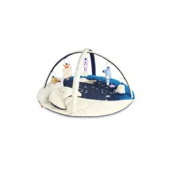 Skip Hop Celestial Dreams Activity Gym