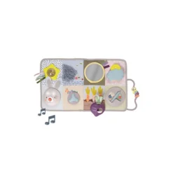 Taf Toys Developmental Activity Center