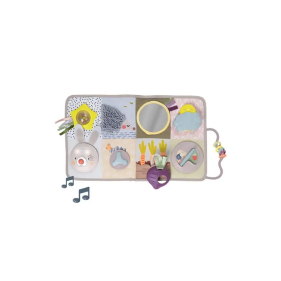 Taf Toys Developmental Activity Center