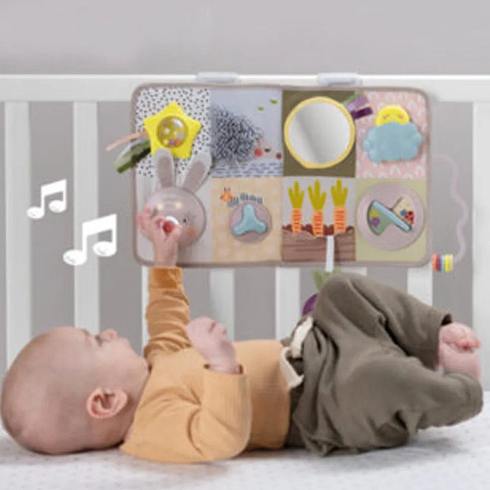 Taf Toys Developmental Activity Center