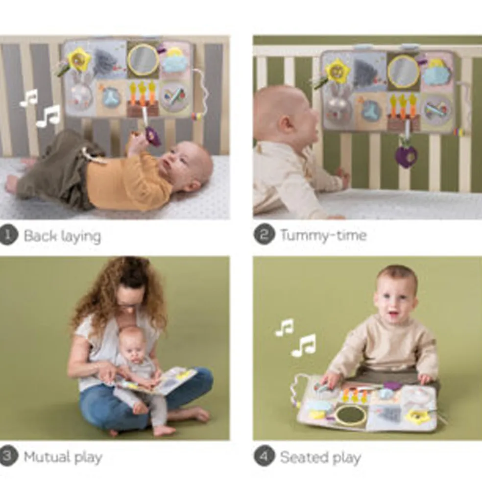 Taf Toys Developmental Activity Center