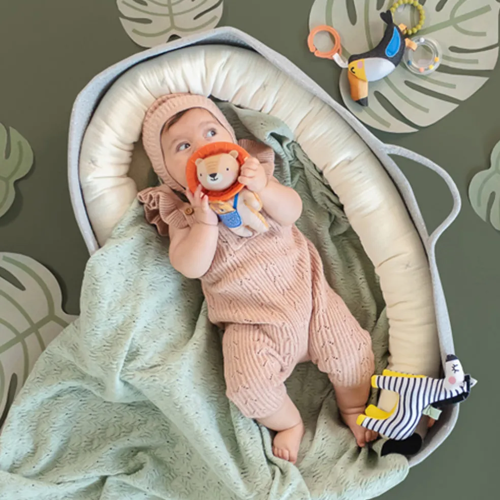 Taf Toys Dizi the Zebra
