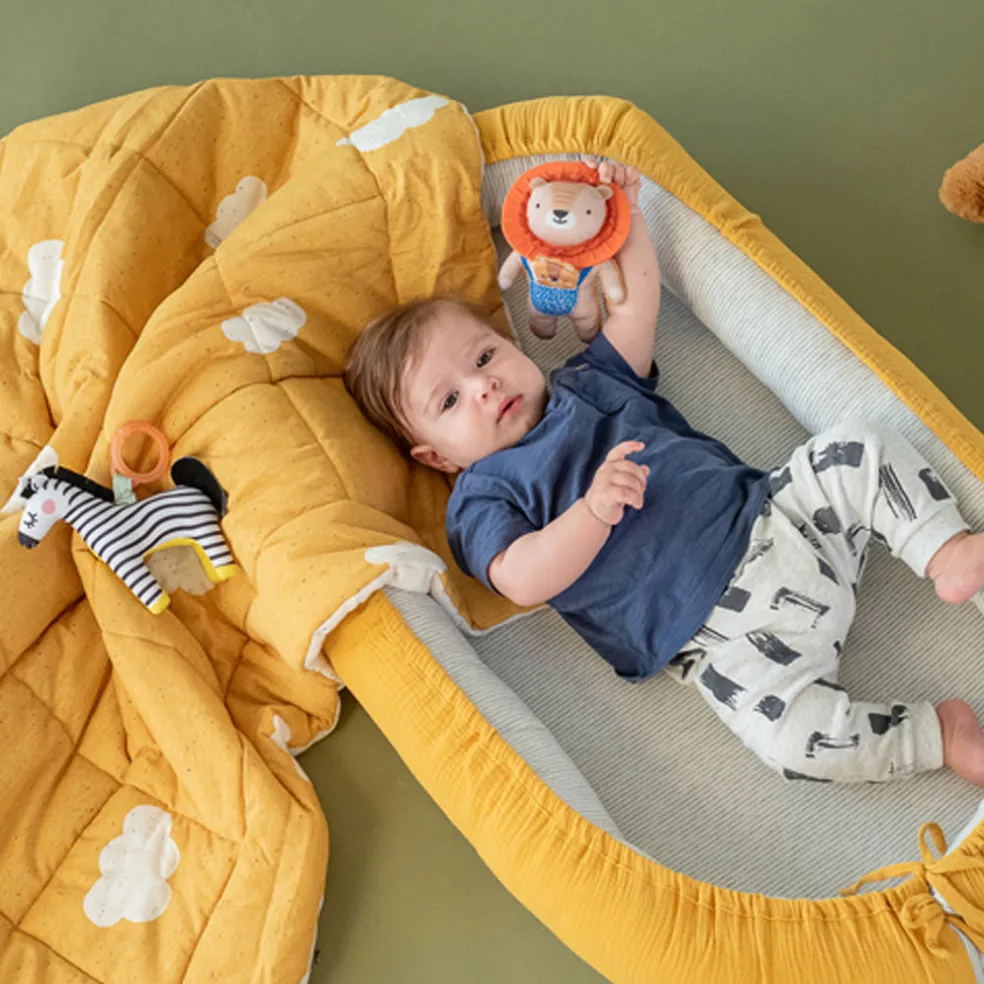 Taf Toys Dizi the Zebra