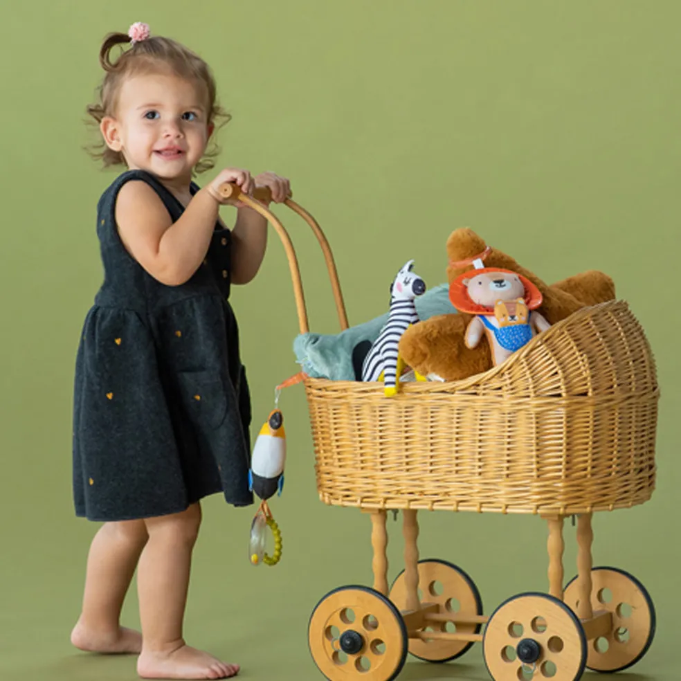 Taf Toys Dizi the Zebra