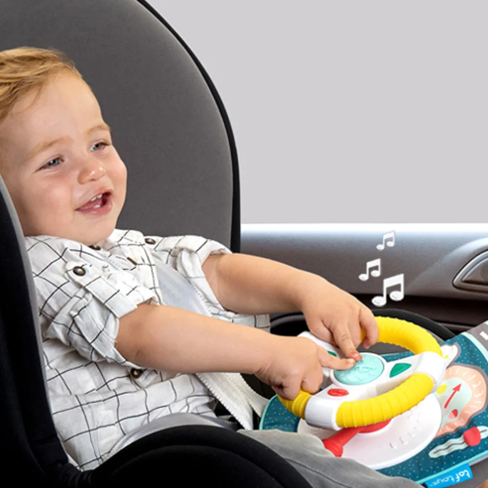 Taf Toys Koala Car Wheel Toy