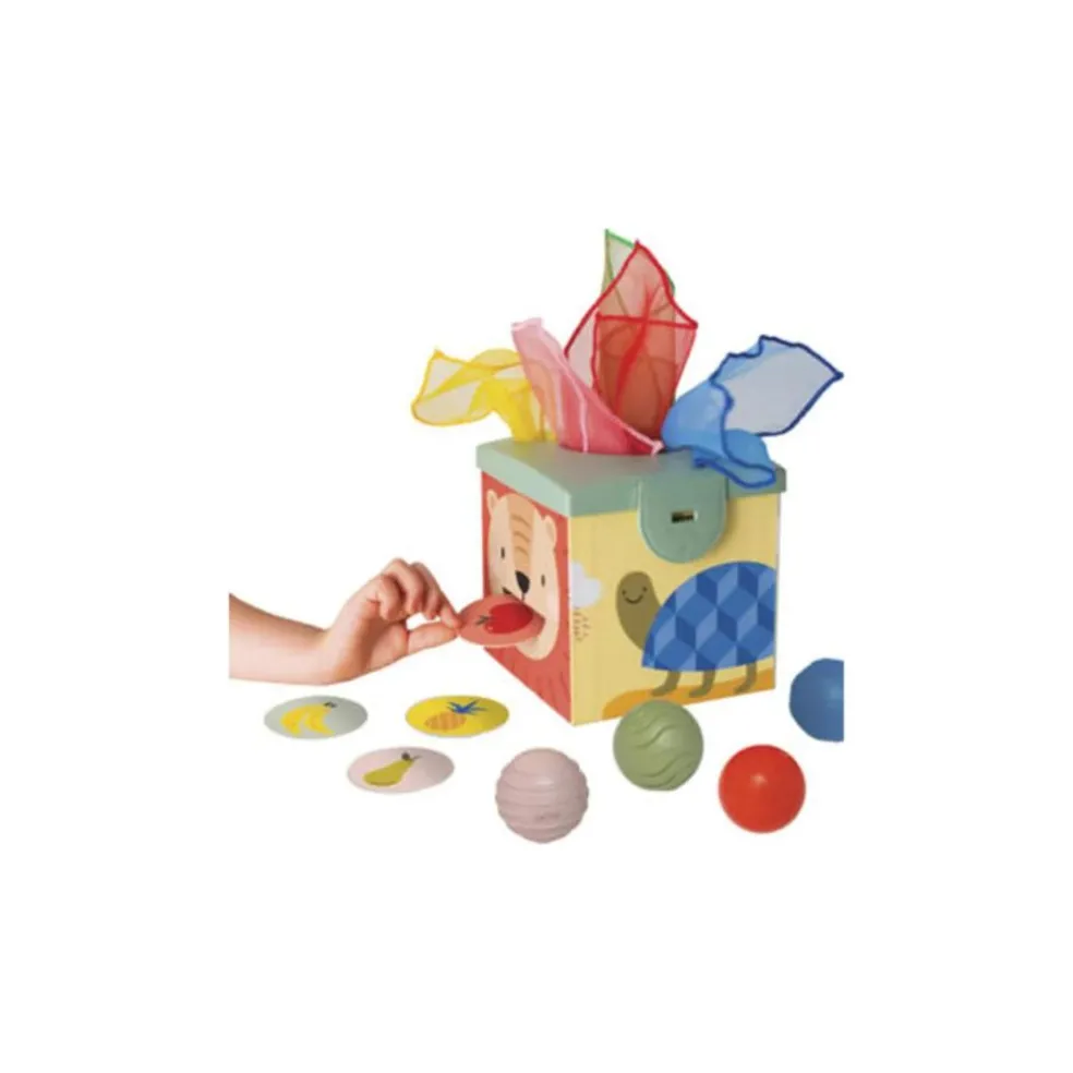 Taf Toys Magic Box