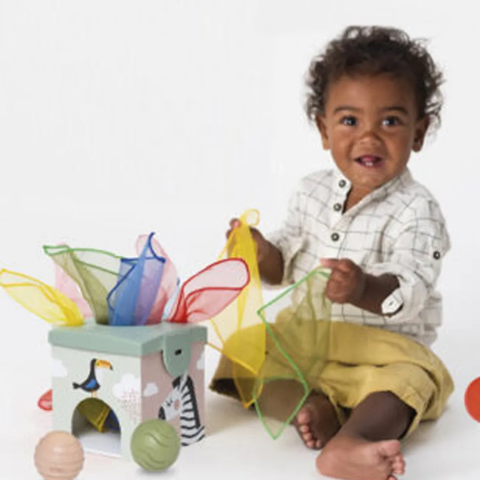Taf Toys Magic Box