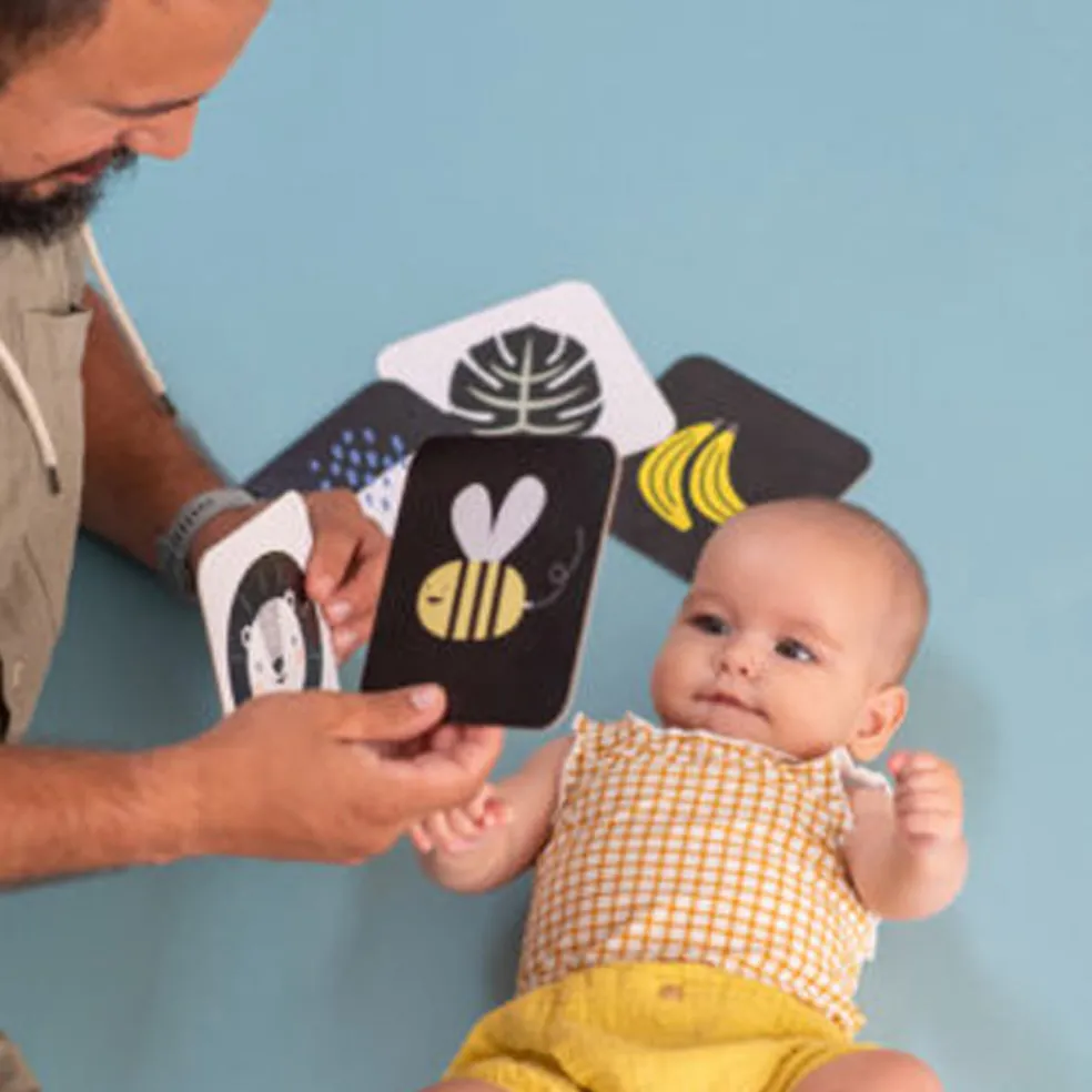 Taf Toys My 1st Tummy-time Cards