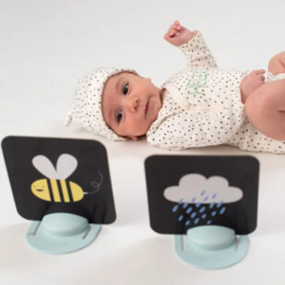 Taf Toys My 1st Tummy-time Cards