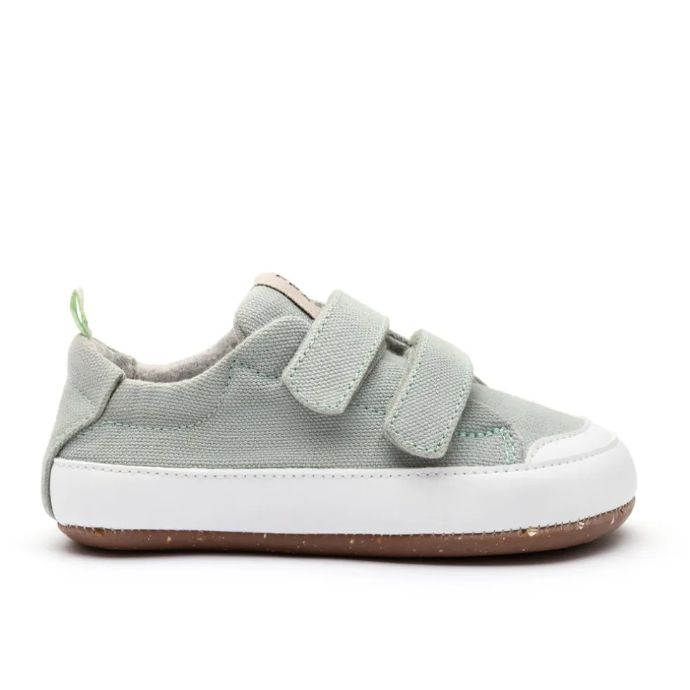 Tip Toey Joey Bossy Green - Salvia Canvas
