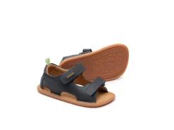 Tip Toey Joey Explorer - Avy