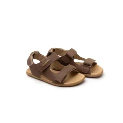 Tip Toey Joey Explorer - Old Brown