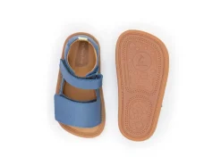 Tip Toey Joey Sleeky - Blue Tang