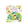 Usborne - Are You There Little Puppy?