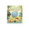 Usborne - Very First Questions and Answers What is poo?