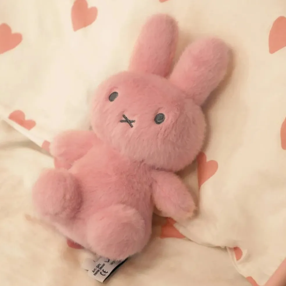 VIPO X Miffy Plushies (25cm)